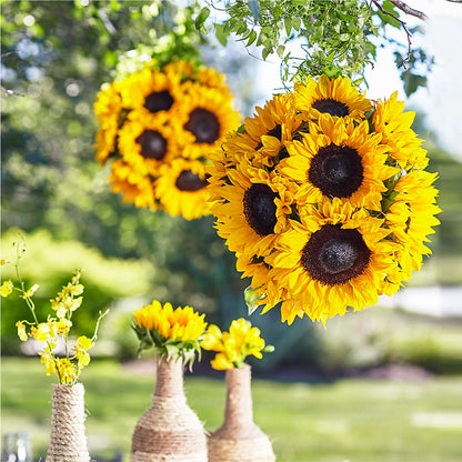 Sublime Garden Hanging Arrangement – GERLACHS GARDEN & FLORAL, Erie PA