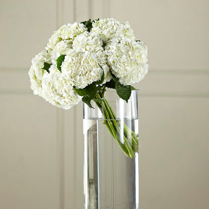 White Hydrangea Hand-Tied Bouquet – GERLACHS GARDEN & FLORAL, Erie PA