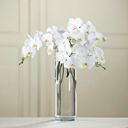 White Phalaenopsis Bouquet – GERLACHS GARDEN & FLORAL, Erie PA