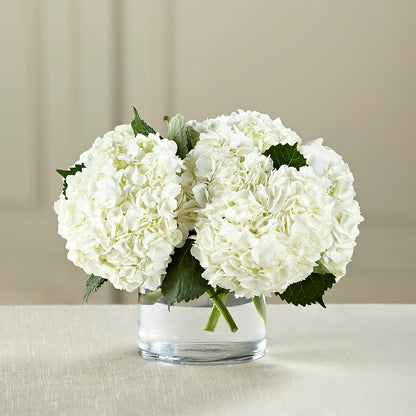White Hydrangea Bouquet – GERLACHS GARDEN & FLORAL, Erie PA